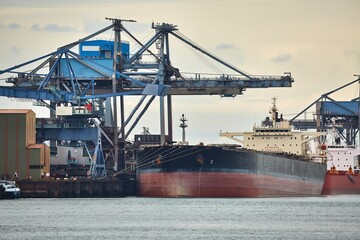 Naklejka premium Unloading a huge ship