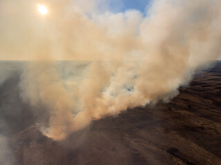 Dry grass burns on broad field, nature on fire, smoke in the air. Open fire, danger and disaster