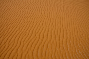 Fototapeta na wymiar Desert