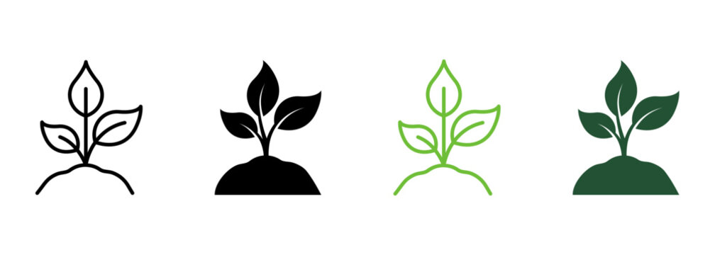 Eco Friendly Farm Symbol Collection. Sprout of Plant in Ecology Garden. Eco Natural Seed, Agriculture Line and Silhouette Icon Set. Organic Growth Leaf on Soil. Isolated Vector Illustration