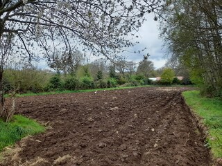 Terrenos de cultivo en Galicia