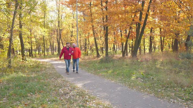 Wide shot satisfied happy gay couple walking arm in arm on sunny park alley talking. Cheerful Caucasian LGBT men holding hands strolling outdoors on autumn day dating