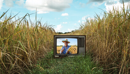 Rice fields in the rural, smiling elderly male farmer raised his thumb through old TV frame.