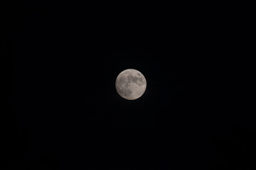 Full moon in the dark night
