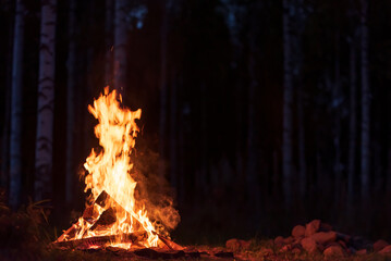 Burning campfire on a dark night in a forest - obrazy, fototapety, plakaty