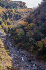阿蘇黒川と周辺の紅葉	
