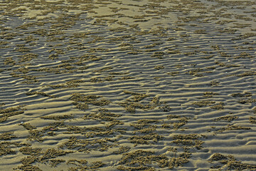 sand on the seashore sand marks