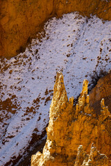 close up telephoto zoom photo of bryce canyon national park hoodoos lit by sun illuminating reds, oranges, pinks, and whites.