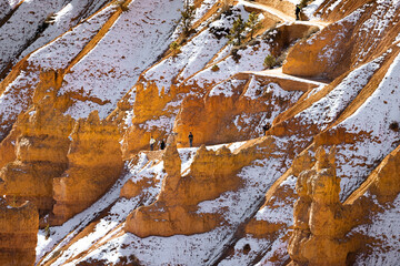 close up telephoto zoom photo of bryce canyon national park hillside with texture lit by sun illuminating reds, oranges, pinks, and whites.