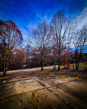 autumn in the park