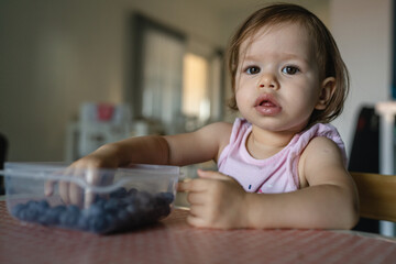 Naklejka premium One girl child toddler small caucasian female daughter one year old sitting at the table in summer day at home eating blueberries fruit from bowl alone childhood growing up concept real people
