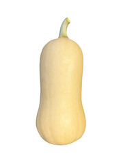 pumpkin png no background