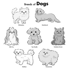 シンプルでかわいい人気の小型犬種　手描き線画ベクターイラストセット