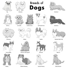 シンプルでかわいい人気の犬種　手描き線画ベクターイラストセット