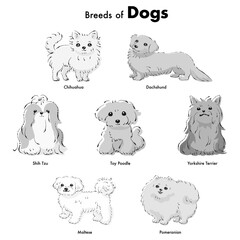 シンプルでかわいい人気の小型犬種　手描き線画ベクターイラストセット