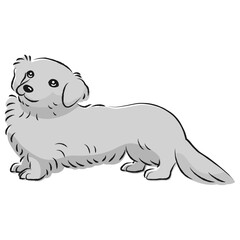 シンプルでかわいいミニチュアダックスフント　手描き線画ベクターイラスト