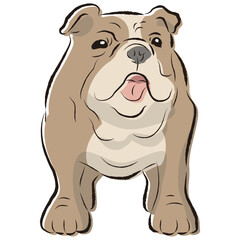 シンプルでかわいいブルドッグ　手描き線画ベクターイラスト