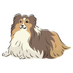 シンプルでかわいいシェットランドシープドッグ　手描き線画ベクターイラスト