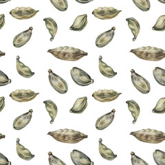 Seamless pattern watercolor cardamom on white background. Fragrance condiment for cooking dessert or drink. Christmas food with cardamon. Art for kitchen cookbook and sticker. Wallpaper wrapping