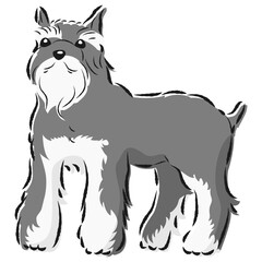 シンプルでかわいいミニチュアシュナウザー　手描き線画ベクターイラスト
