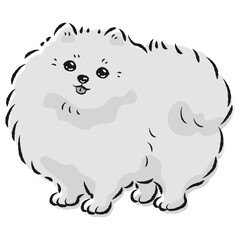 シンプルでかわいいポメラニアン　手描き線画ベクターイラスト