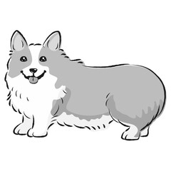 シンプルでかわいいコーギー　手描き線画ベクターイラスト