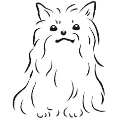 シンプルでかわいいヨークシャーテリア　手描き線画ベクターイラスト
