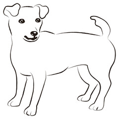 シンプルでかわいいジャックラッセルテリア　手描き線画ベクターイラスト