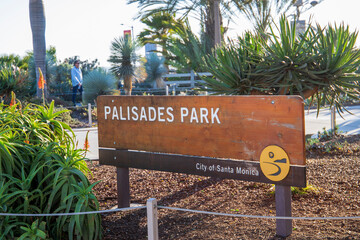 a brown wooden sign that reads Palisades park surrounded by lush green trees and plants in Santa Monica California USA - obrazy, fototapety, plakaty