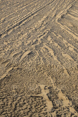 冬の鳥取砂丘とその紋様 鳥取県 鳥取砂丘