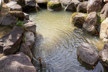 日本庭園の小さな池