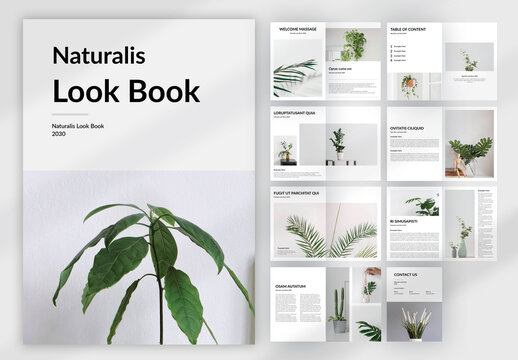 Naturalis Look Book