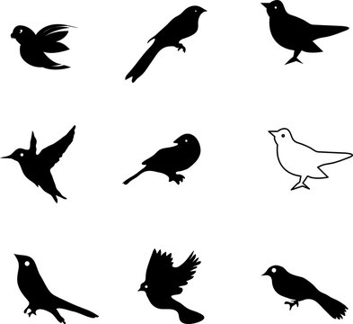 vector bird icon set illustration on white background..eps