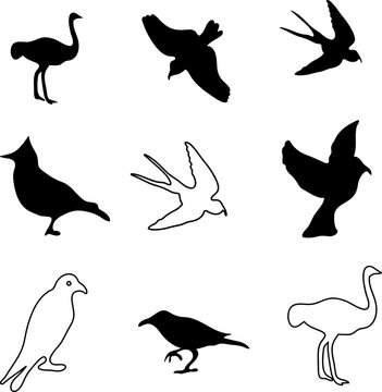 vector bird icon set illustration on white background 