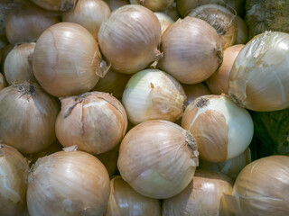 Cassava in the market