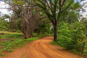 Dirt road in the Sapucaia park in Montes Claros