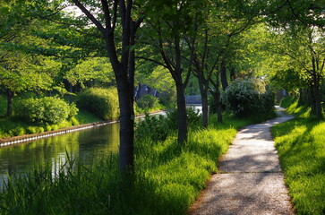 Fototapeta premium 風景