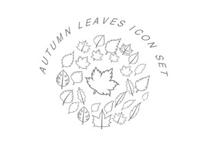 Vector autumn icon set 