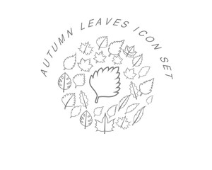 Vector autumn icon set 