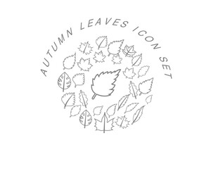 Vector autumn icon set 