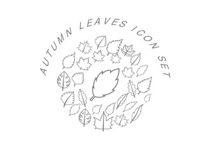 Vector autumn icon set 