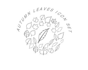 Vector autumn icon set 