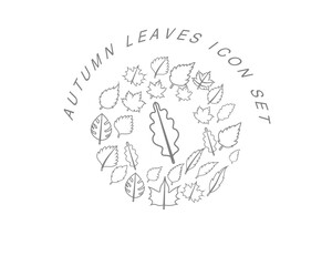 Vector autumn icon set 