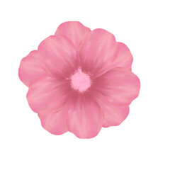 Illustration png of flower. Suitable for design of invitation, wedding, party, birthday, stiker, etc