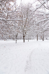Snow-covered park
