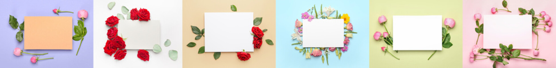 Collage with blank cards and beautiful flowers on color background