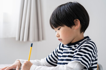 勉強する日本人小学生の男の子