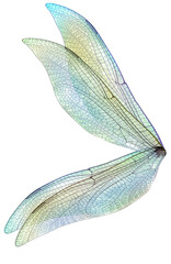 Fairy Wing Overlay 5 By ATP Textures