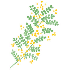 ナチュラルなミモザのイラスト　