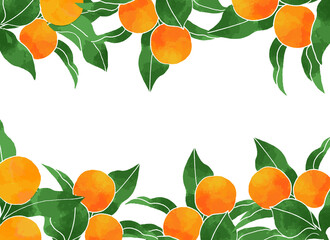 柑橘類の背景素材